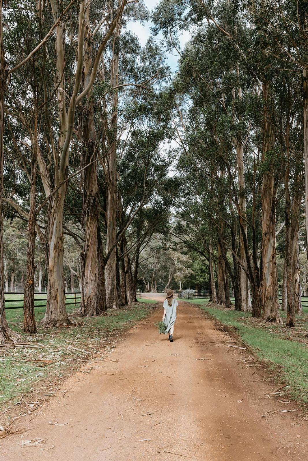 Chambre Estate Margaret River Bagian luar foto